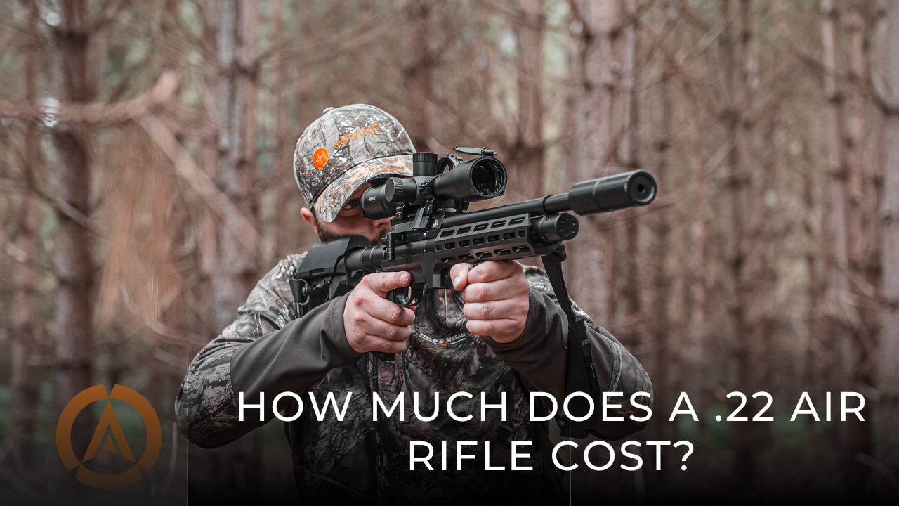 How much does a .22 air rifle cost?